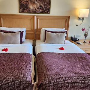 Superior Twin Room River View